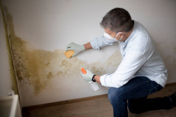 Best Residential Mold Inspection & Testing  in Pocasset, MA