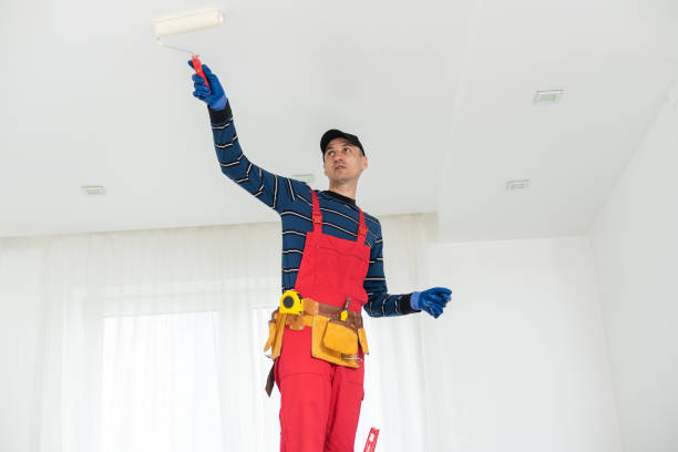 Best Mold Damage Restoration  in Pocasset, MA